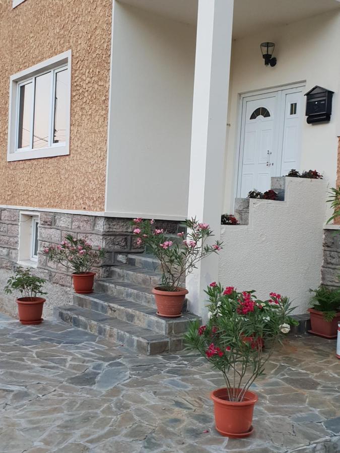 Pretty Garden Villa Orşova Exterior foto